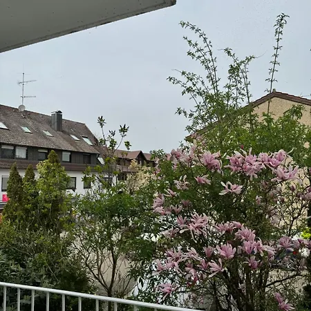 See-hotel Seeschau - Direkt Am Bodenseeufer Hotel Reichenau