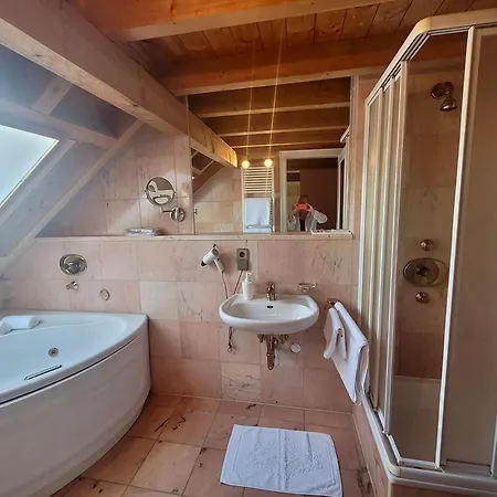 See-Hotel Seeschau - Direkt Am Bodenseeufer Hotel Reichenau