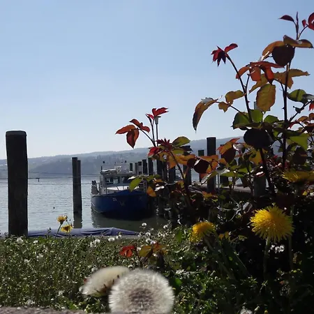 See-Hotel Seeschau - Direkt Am Bodenseeufer