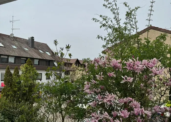 See-hotel Seeschau - Direkt Am Bodenseeufer Ξενοδοχείο Reichenau